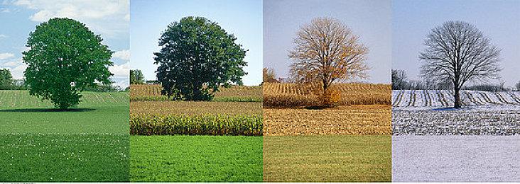 《祇：女神之道》玩家数突破50万 官方发放魔像奖励