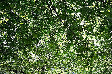 “巫师之夜”时间表公开 无《巫师》新作